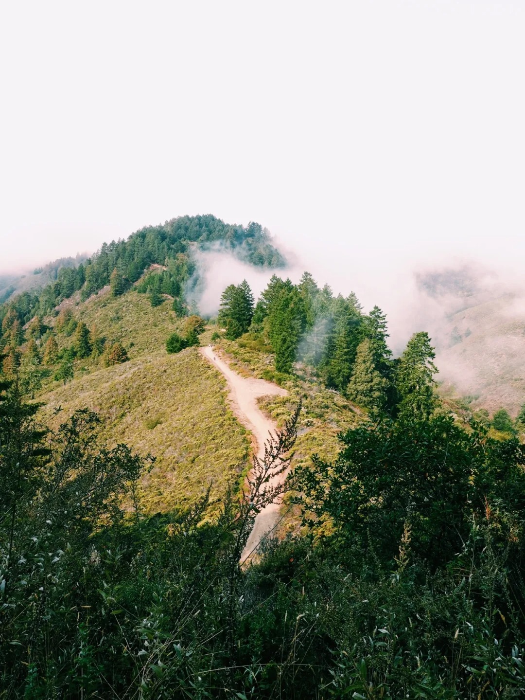 Hiking Trails for Purisma Creek Redwoods!