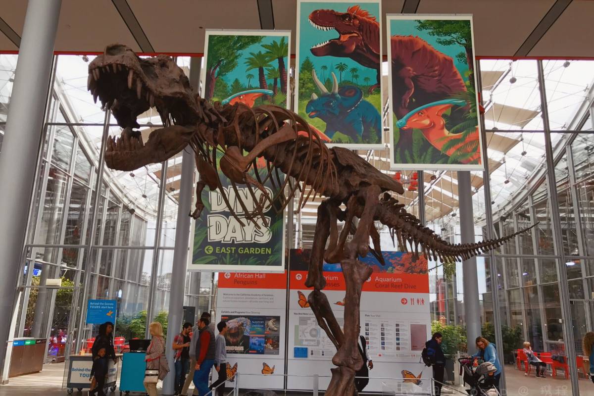 Immerse Yourself in Nature's Wonders at the California Science Museum Tropical Rainforest🌿