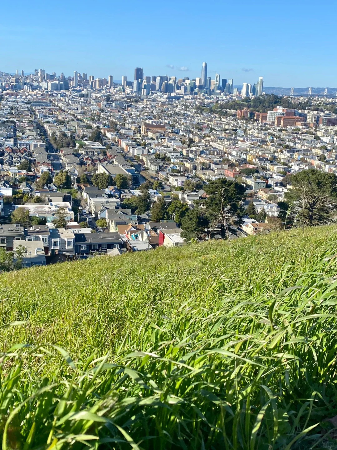 Discovering the Magic of Dusk at Bernal Heights Park