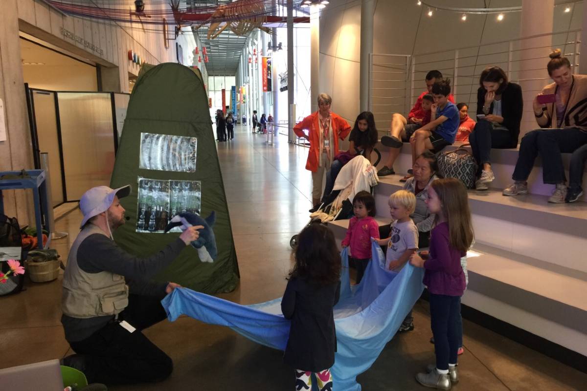 Immerse Yourself in Nature's Wonders at the California Science Museum Tropical Rainforest🌿
