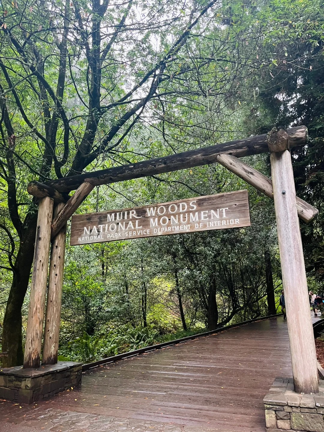 Bay Area Weekend | Hiking Adventure: Muir Woods National Redwood Forest