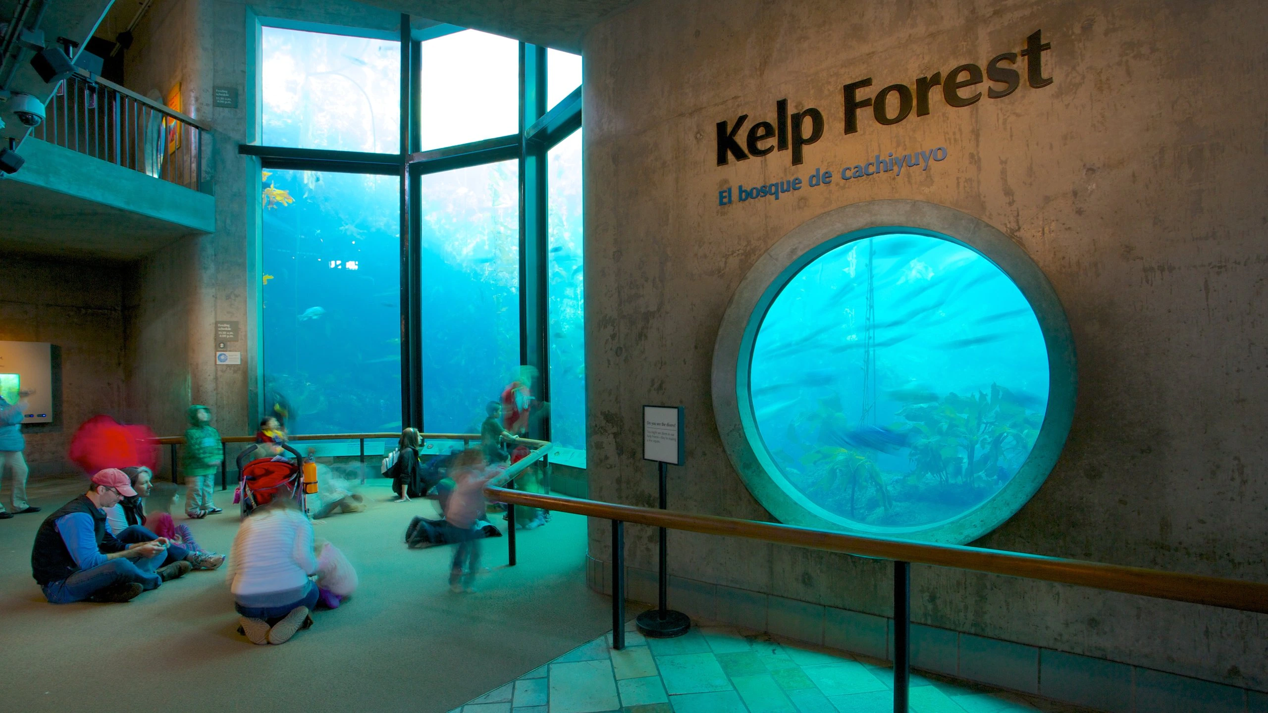 🐠 Dive into the Wonders of Monterey Bay Aquarium! 🌊