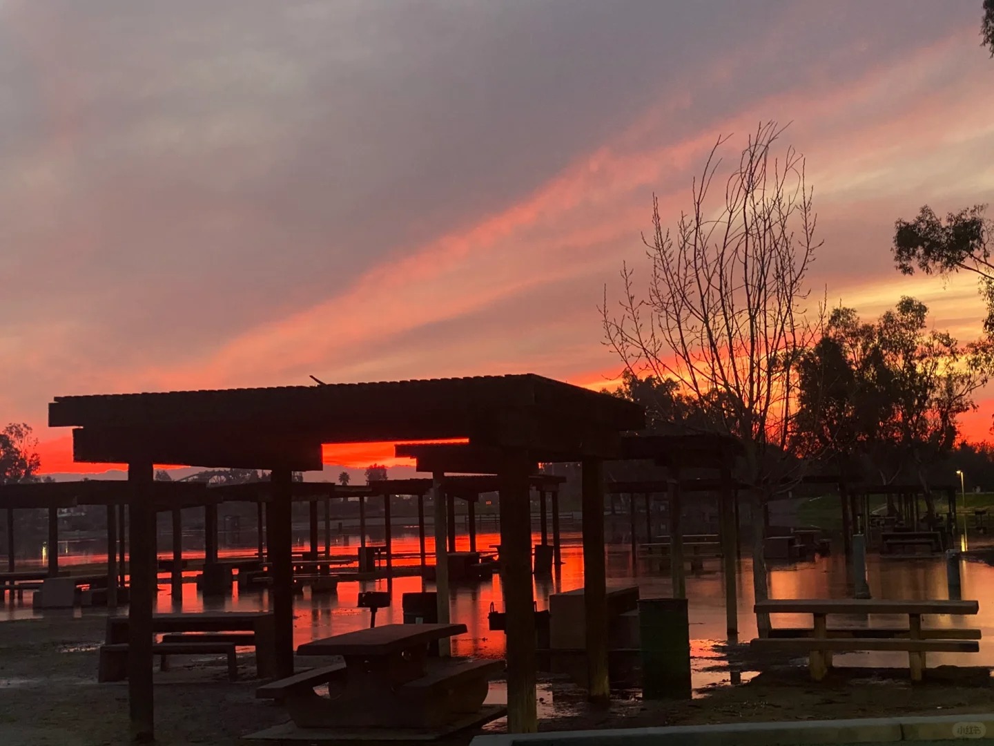 Exploring the Lake Cunningham Park: A Refreshing Day Amidst Nature