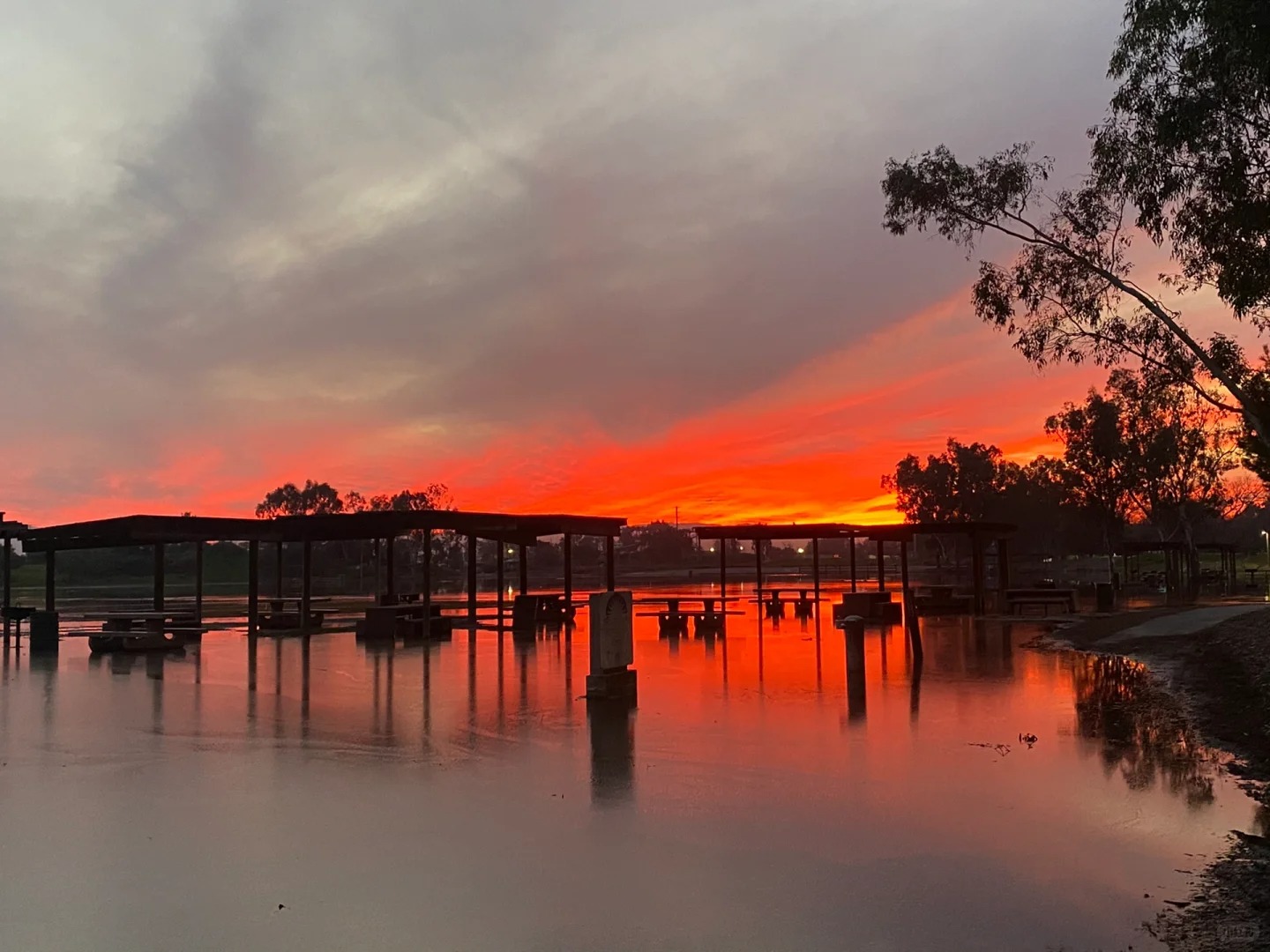 Exploring the Lake Cunningham Park: A Refreshing Day Amidst Nature