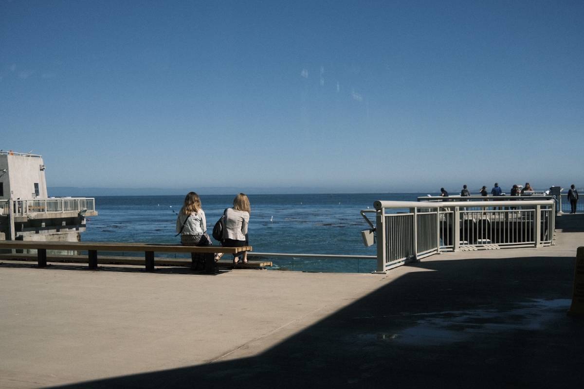 🐠 Dive into the Wonders of Monterey Bay Aquarium! 🌊