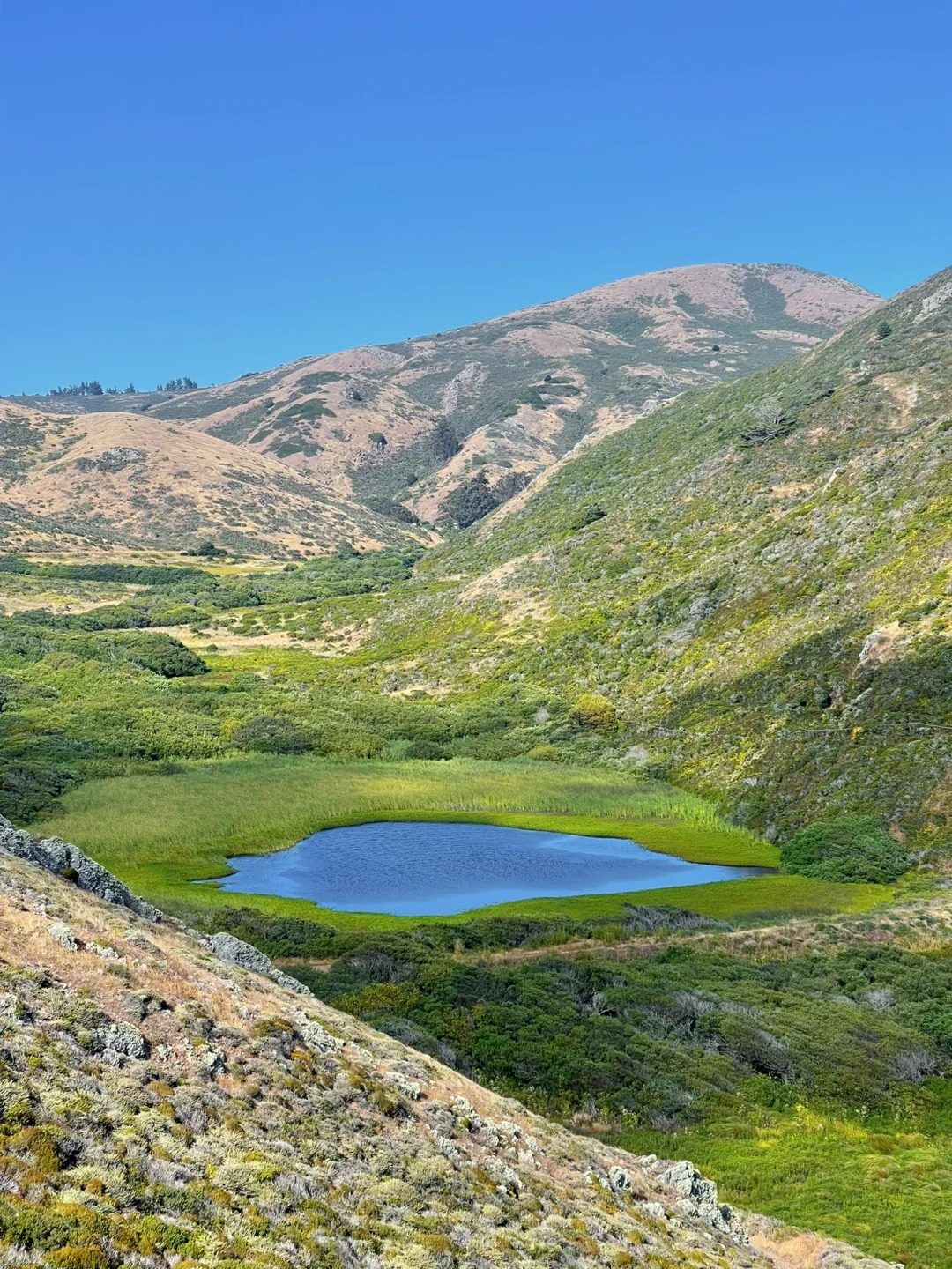 Bay Area Weekend | Off-the-Beaten-Path Hiking Trail Leading to a Beach 