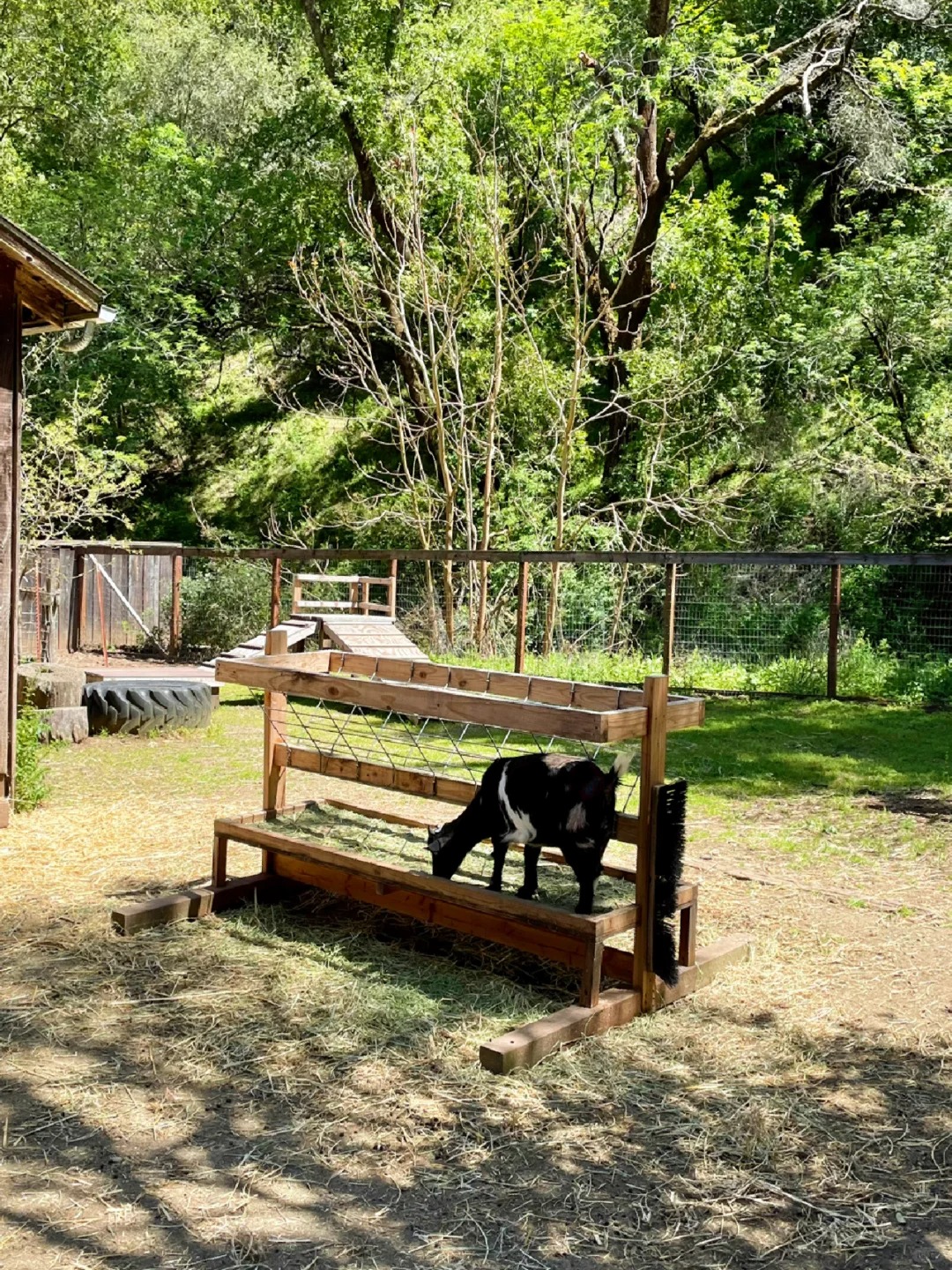 Unveiling the Tranquil Gem: Hidden Villa in Los Altos Hills