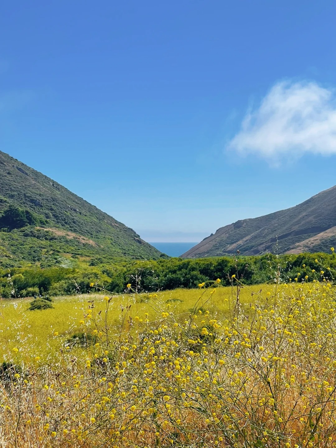 Bay Area Weekend | Off-the-Beaten-Path Hiking Trail Leading to a Beach 