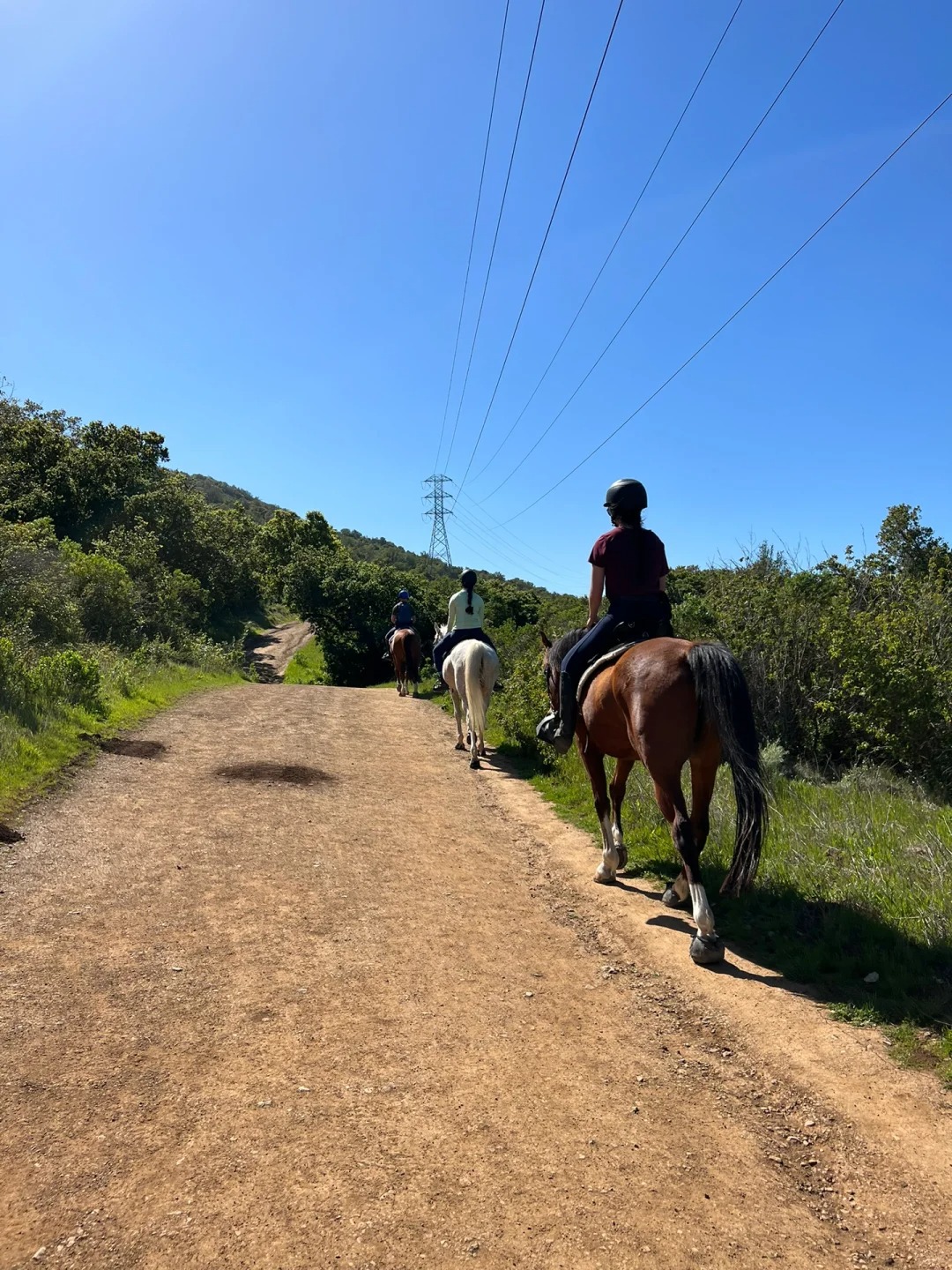 California Living | Hidden Gem Hiking Spot Recommended by Bay Area Locals