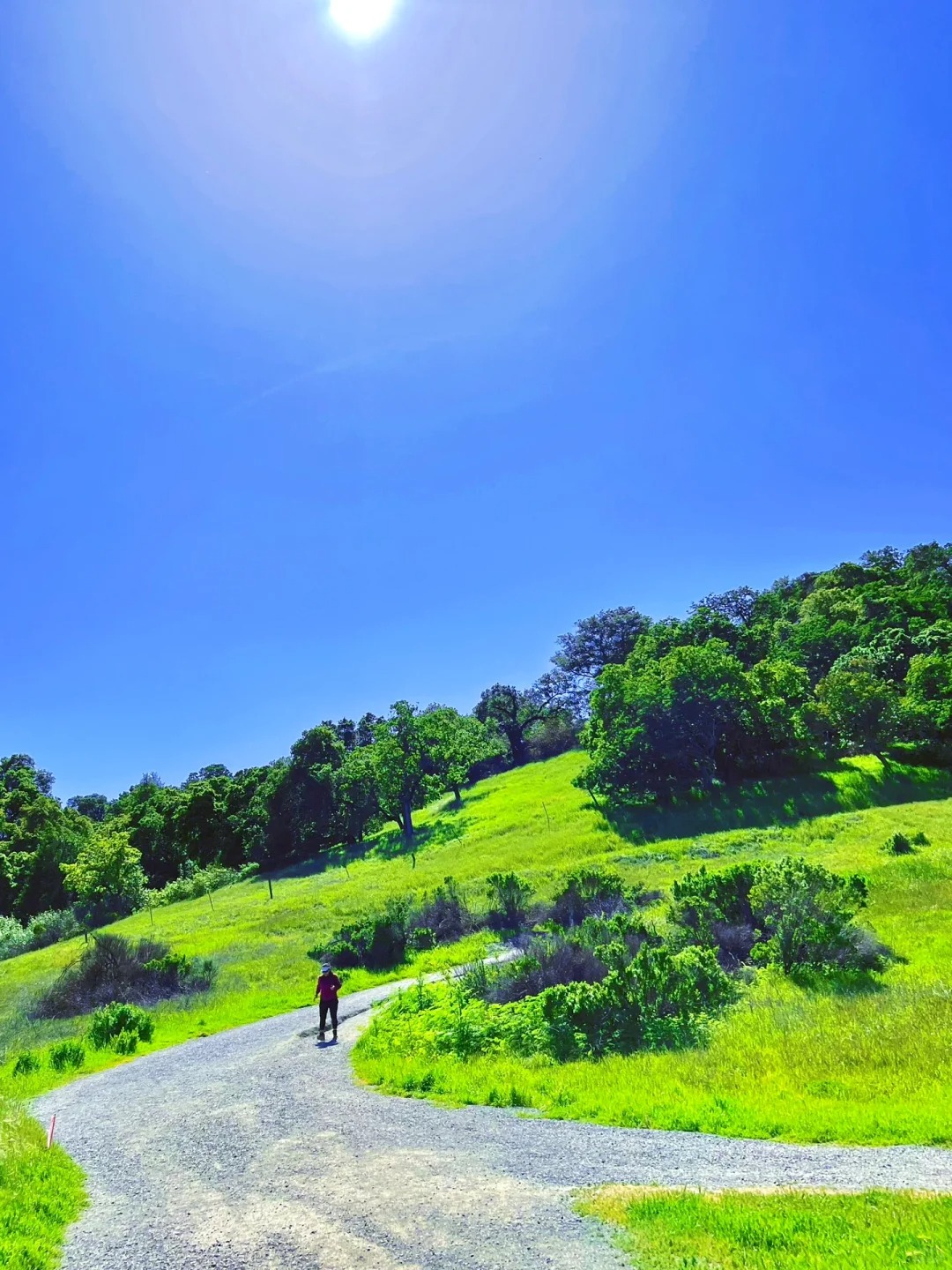 California Living | Hidden Gem Hiking Spot Recommended by Bay Area Locals