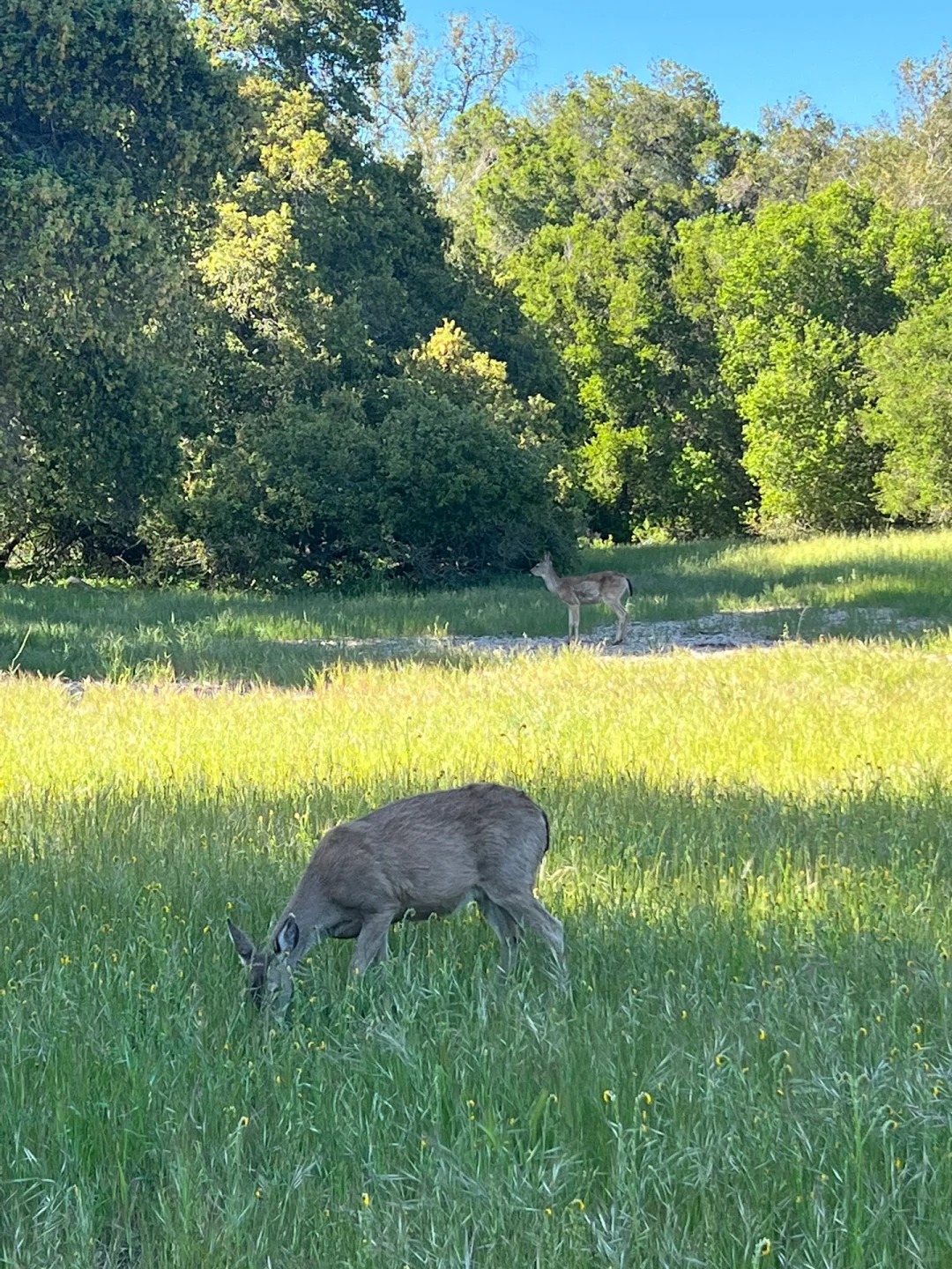 California Living | Hidden Gem Hiking Spot Recommended by Bay Area Locals