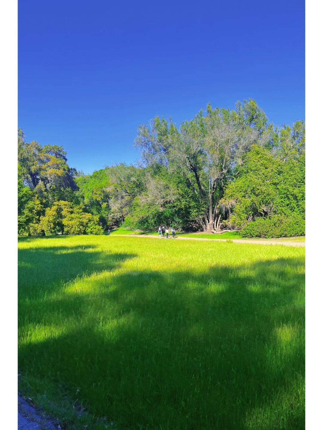 California Living | Hidden Gem Hiking Spot Recommended by Bay Area Locals
