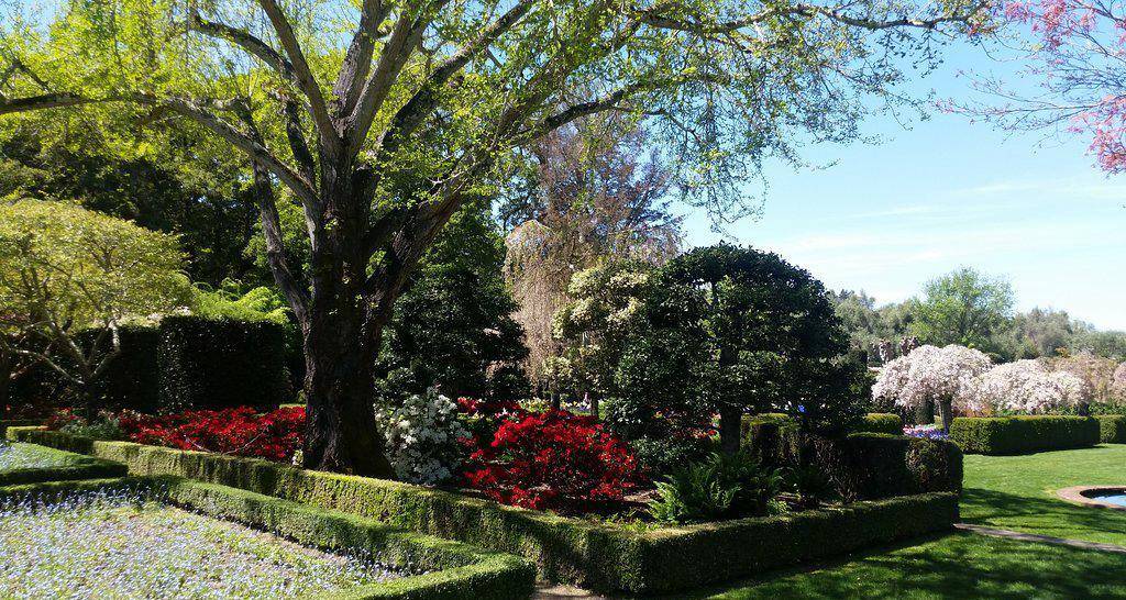 🌺 Explore Filoli Garden: A Bay Area Gem 🏰