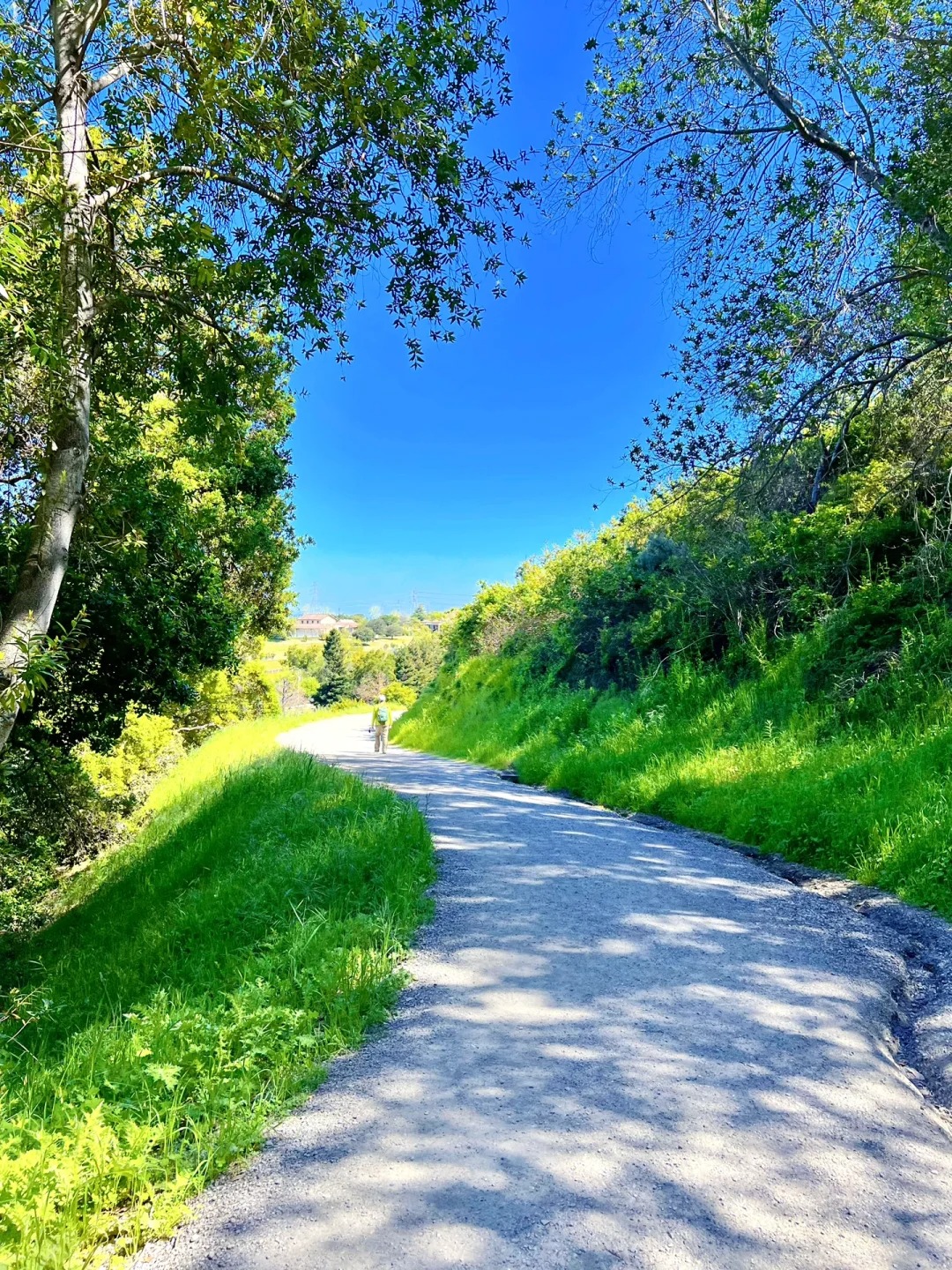 California Living | Hidden Gem Hiking Spot Recommended by Bay Area Locals