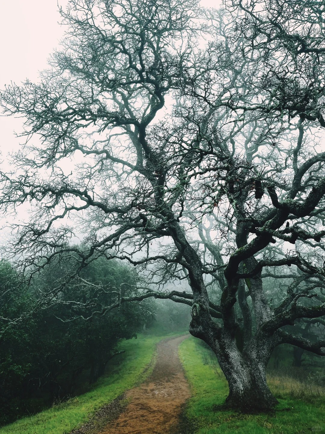 Daily Hiking Routine ｜ Hidden Gem Trail Recommendation