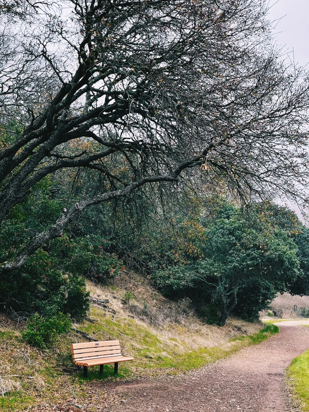 Daily Hiking Routine ｜ Hidden Gem Trail Recommendation