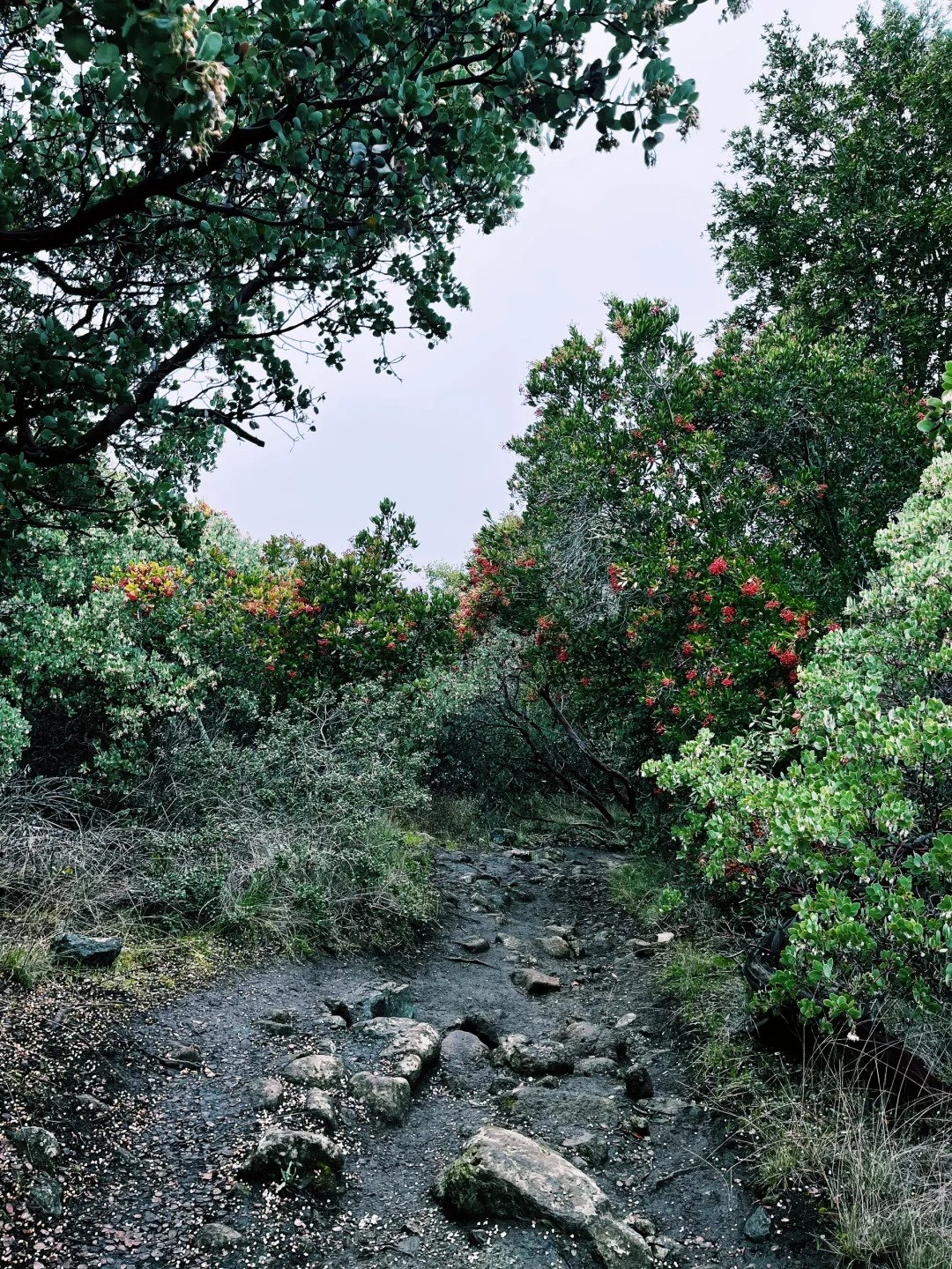 Daily Hiking Routine ｜ Hidden Gem Trail Recommendation