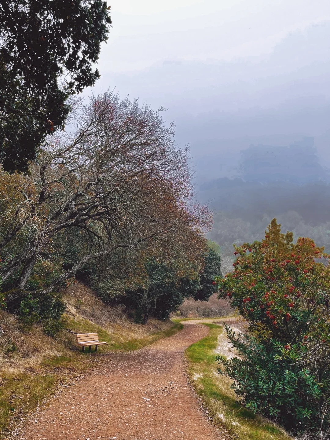 Daily Hiking Routine ｜ Hidden Gem Trail Recommendation