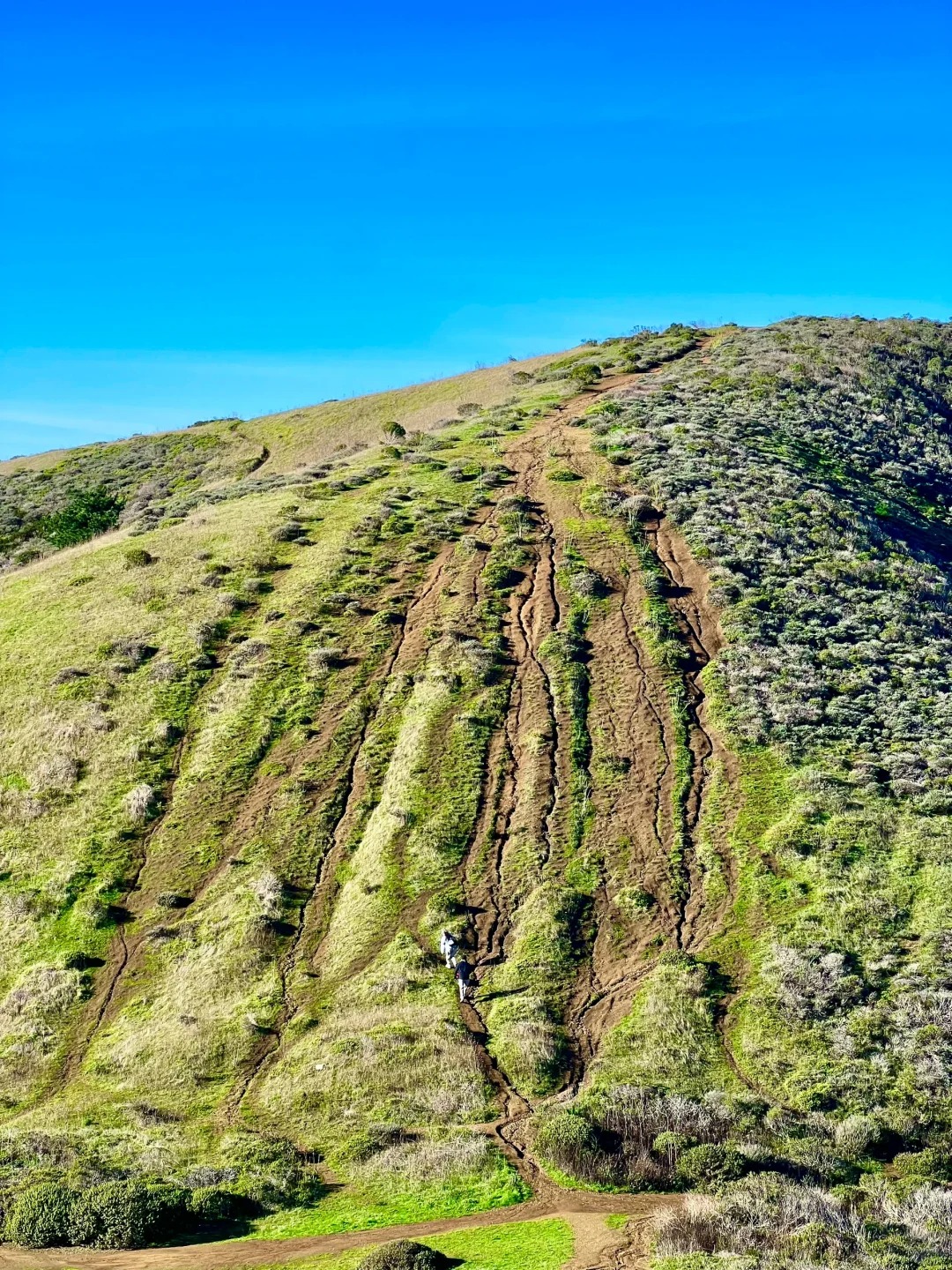 Trail Recommendation | Chasing Giant Waves at Mori Point