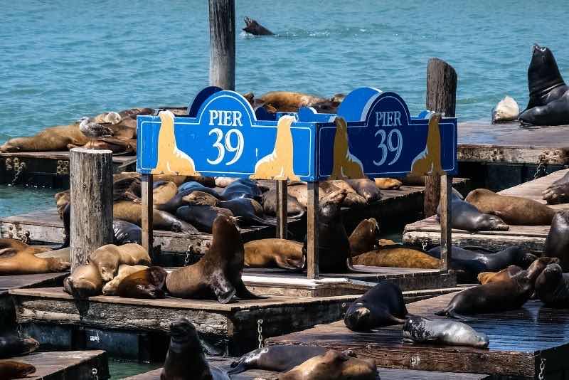 99 Fun Things to Do in California - the Ultimate Bucket List - TourScanner