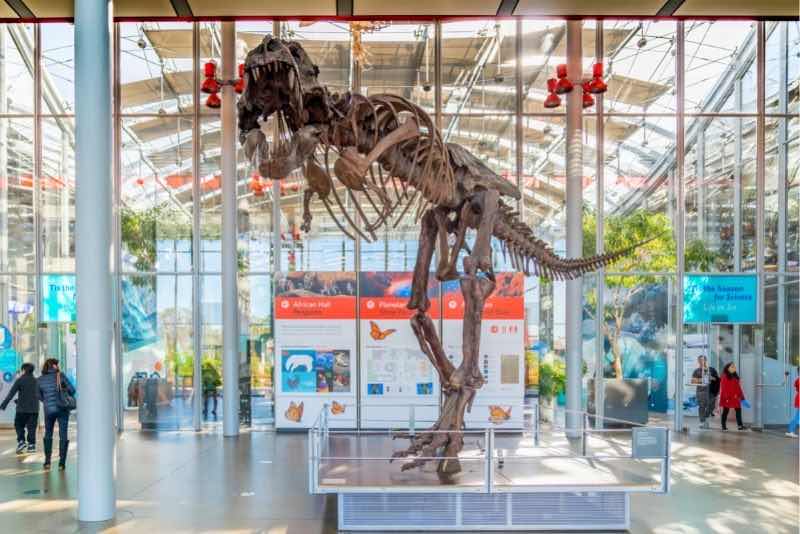 99 Fun Things to Do in California - the Ultimate Bucket List - TourScanner