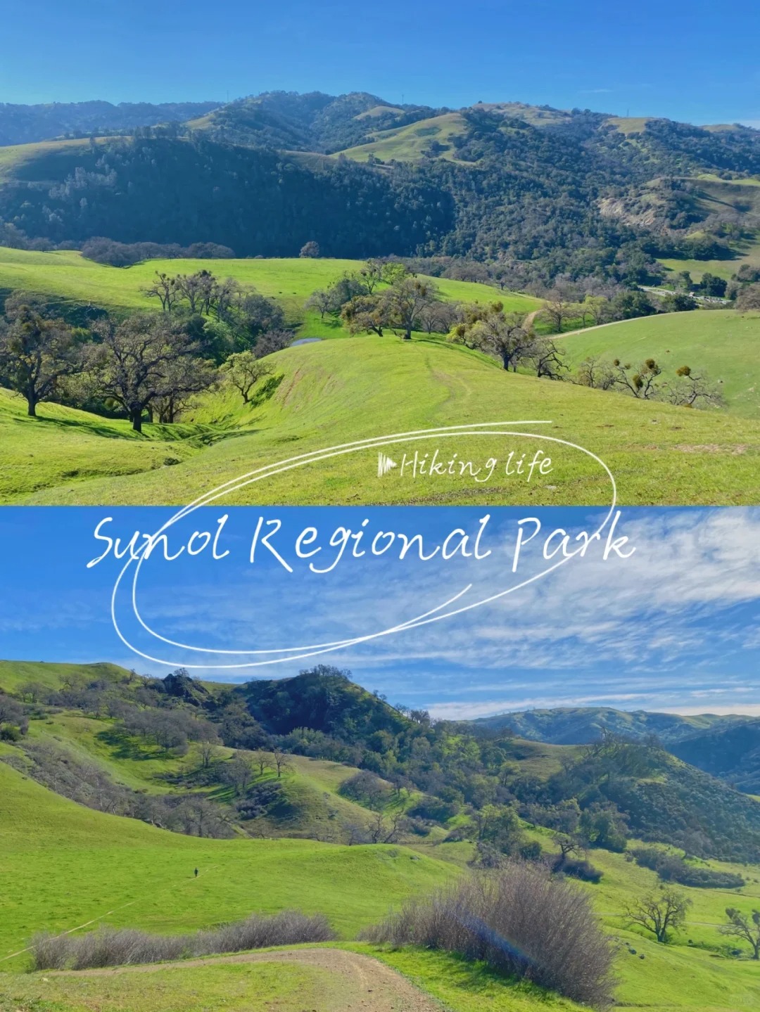 Unveiling the Hidden Charms: A Journey into Tranquility at Sunol Regional Wilderness