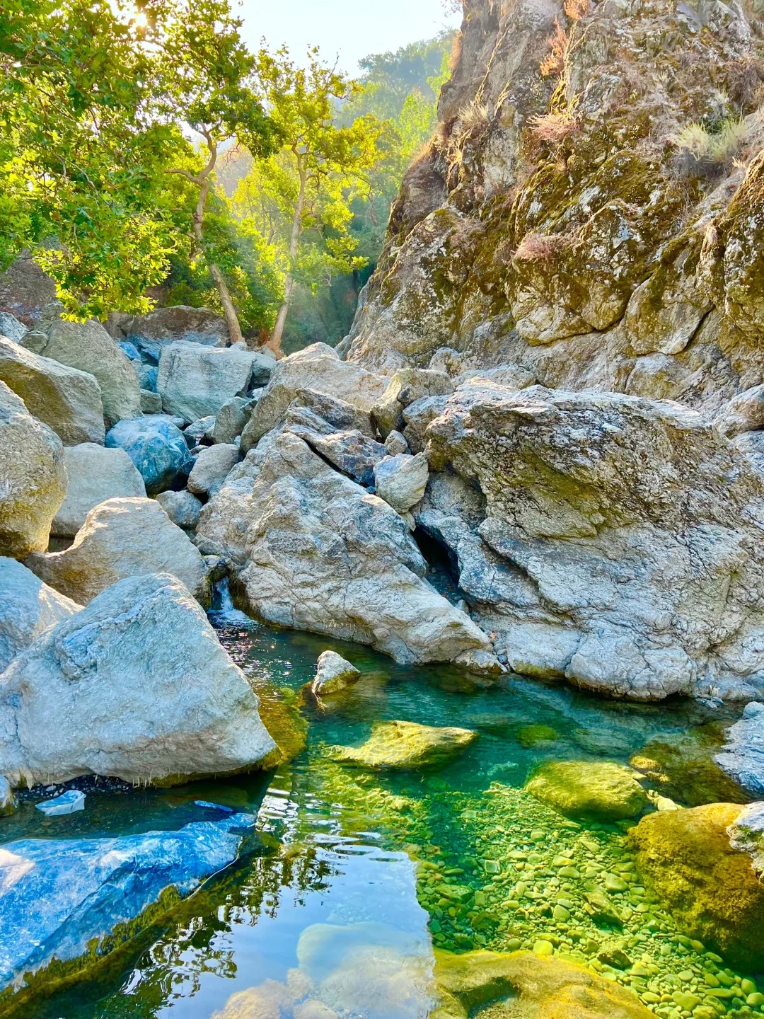 Unveiling the Hidden Charms: A Journey into Tranquility at Sunol Regional Wilderness