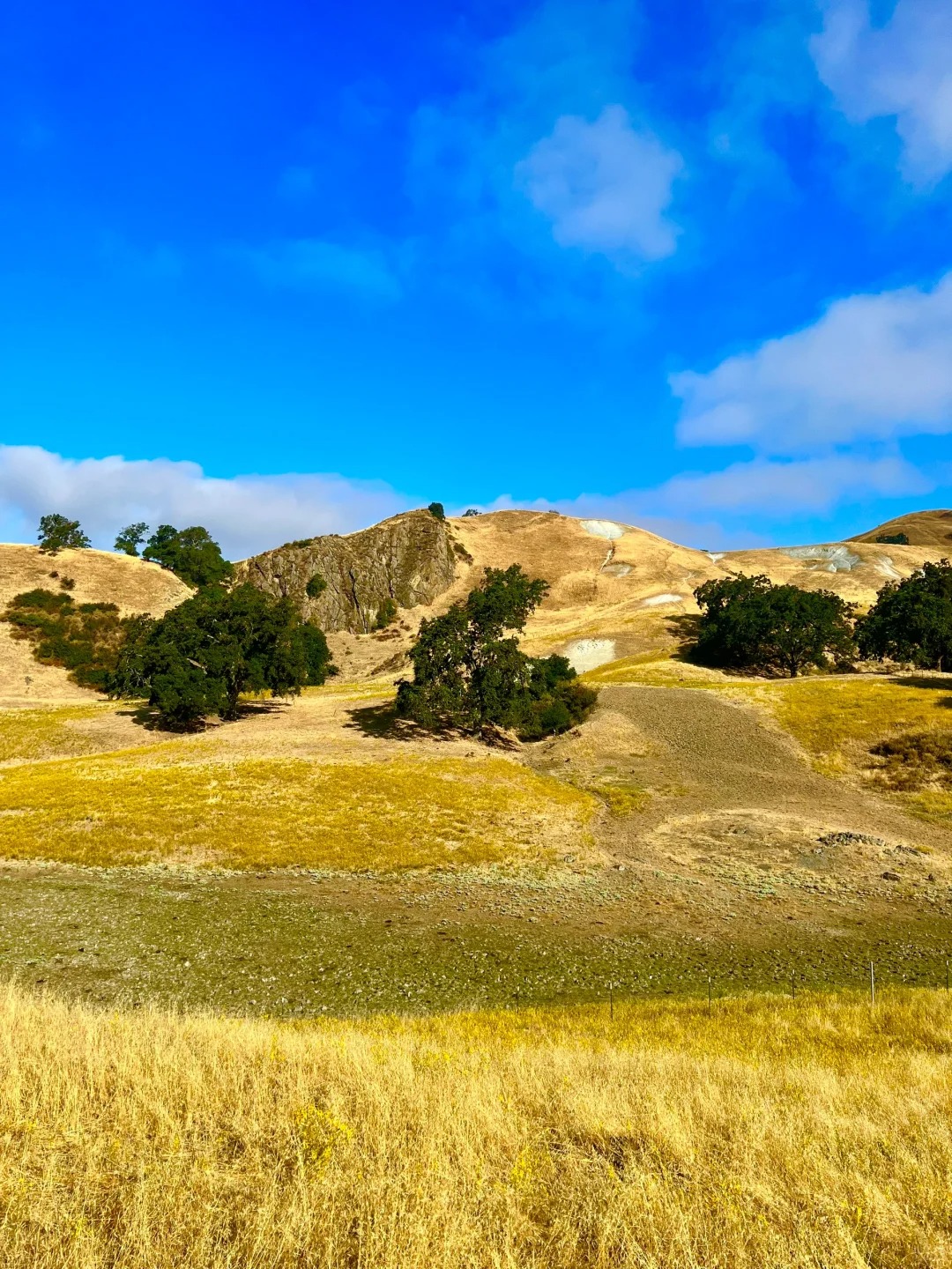 Unveiling the Hidden Charms: A Journey into Tranquility at Sunol Regional Wilderness