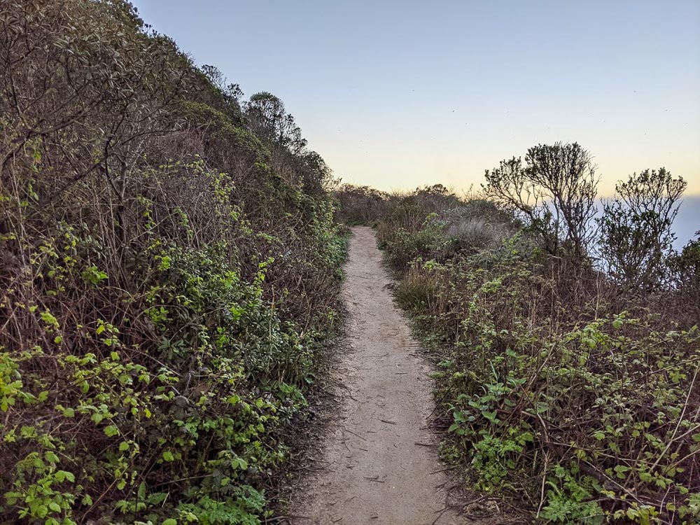 Conquer the Heights: Montara Mountain Hike for Stunning Views of Pacifica and Half Moon Bay!