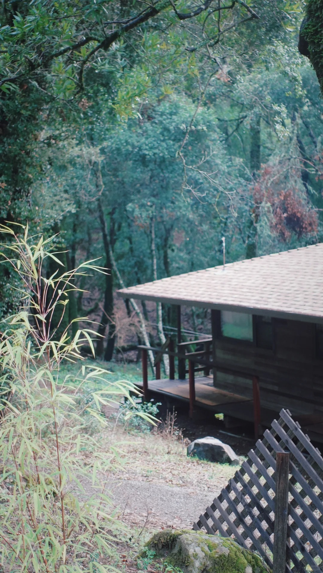 Discovering Tranquility: A Day at Jikoji Zen Center
