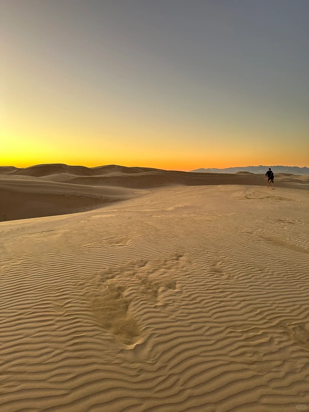 Oceano Dunes：The Heavenly Combination of Sea and Desert.