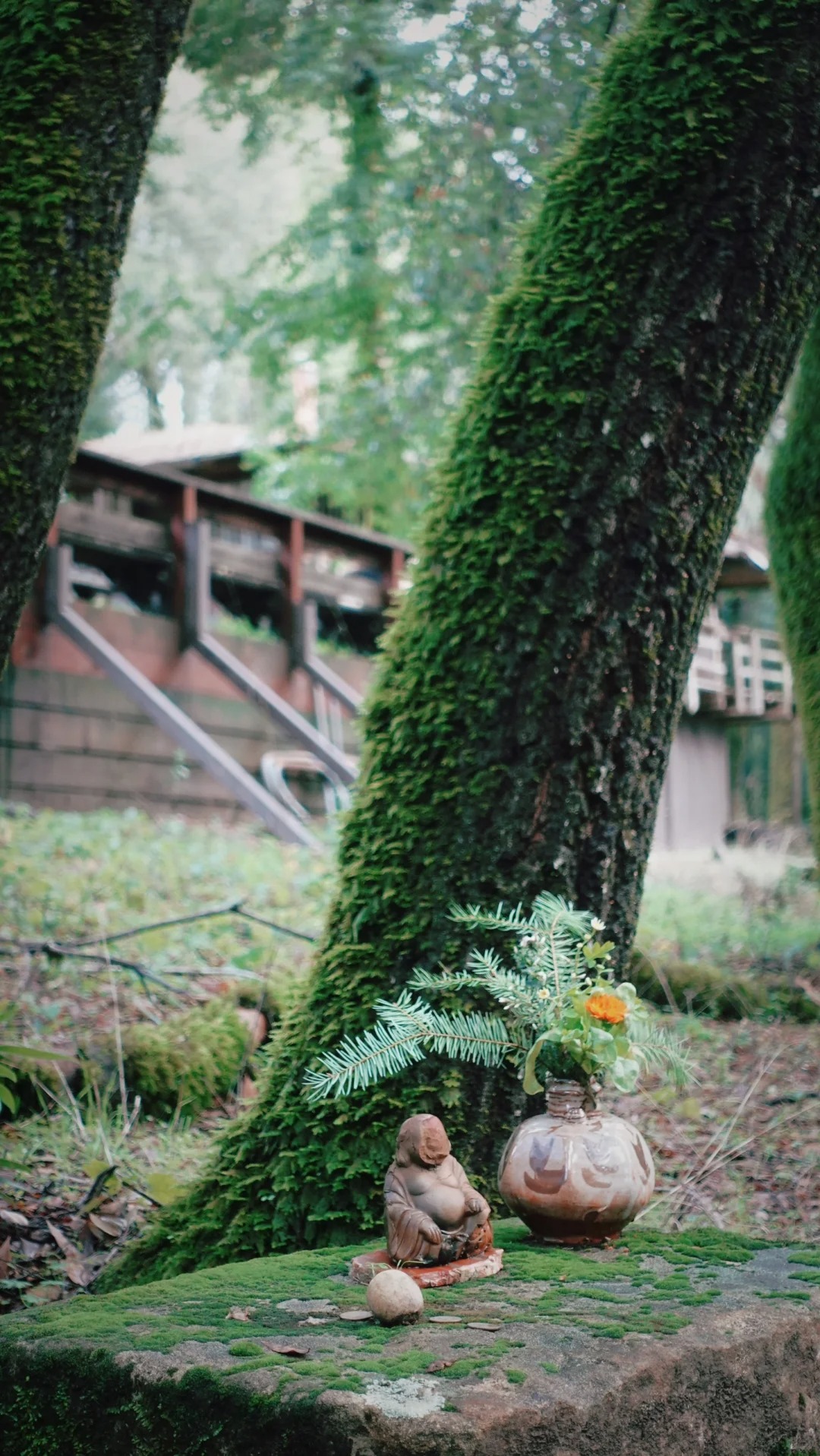 Discovering Tranquility: A Day at Jikoji Zen Center
