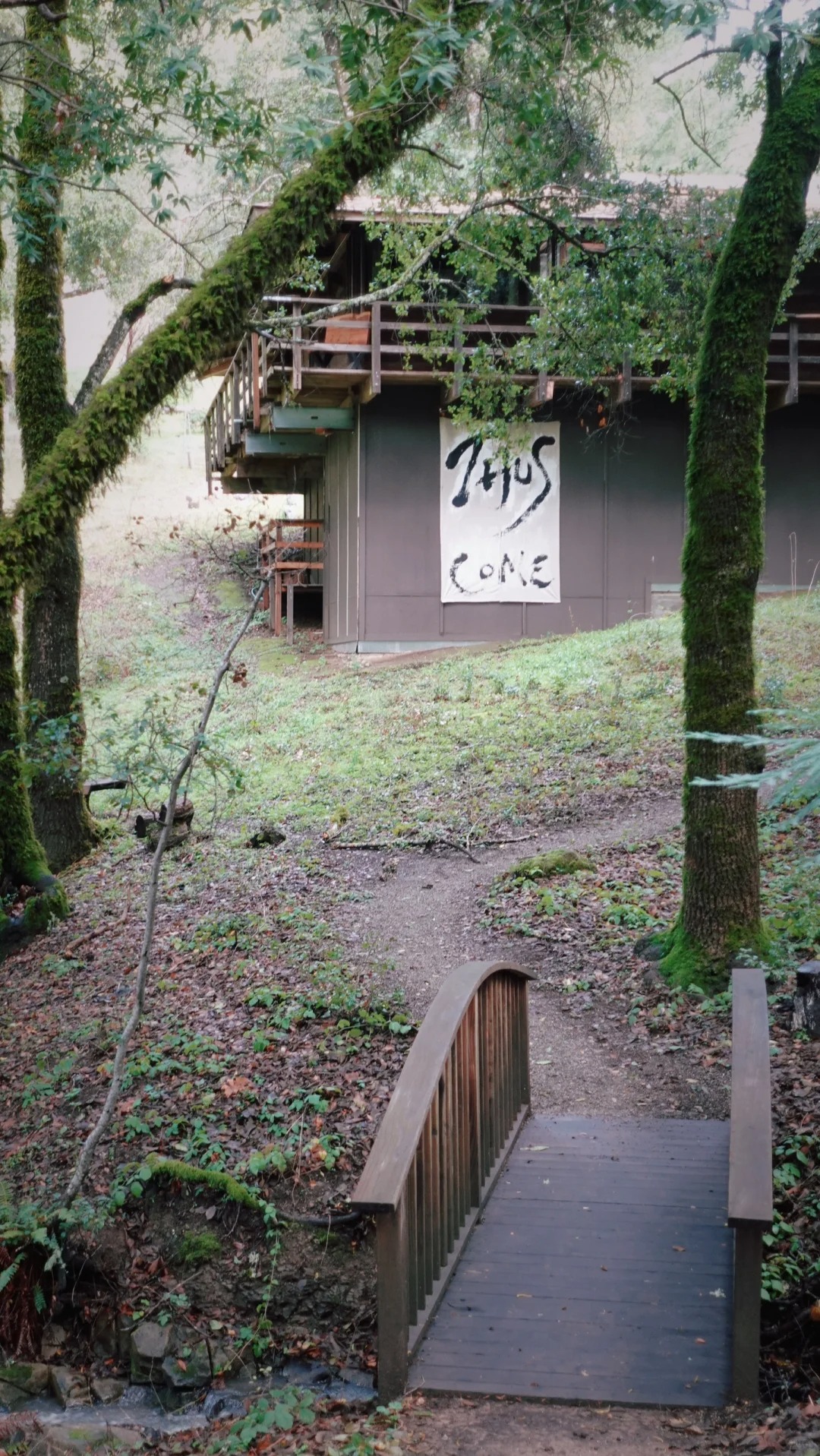 Discovering Tranquility: A Day at Jikoji Zen Center
