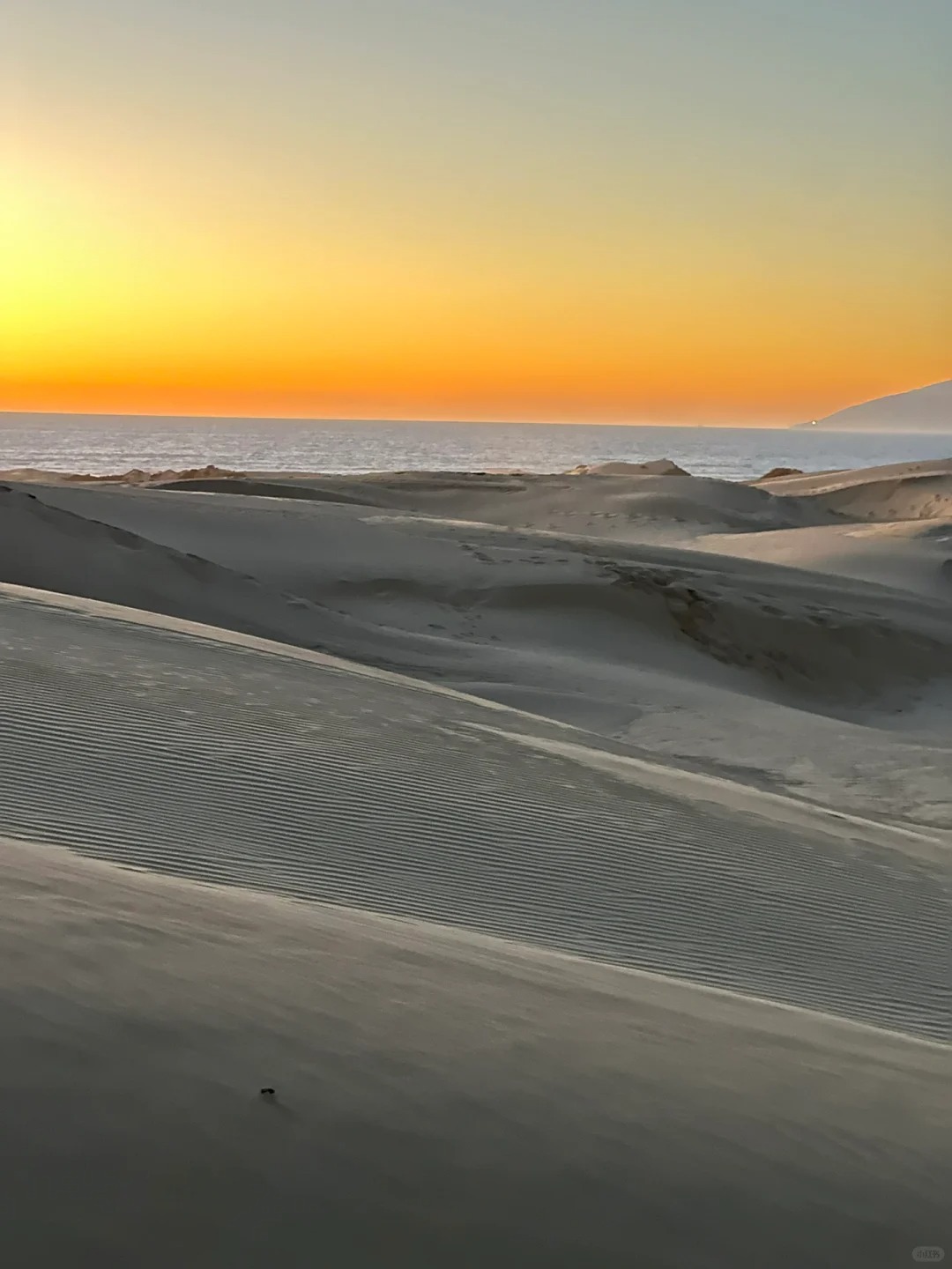 Oceano Dunes：The Heavenly Combination of Sea and Desert.