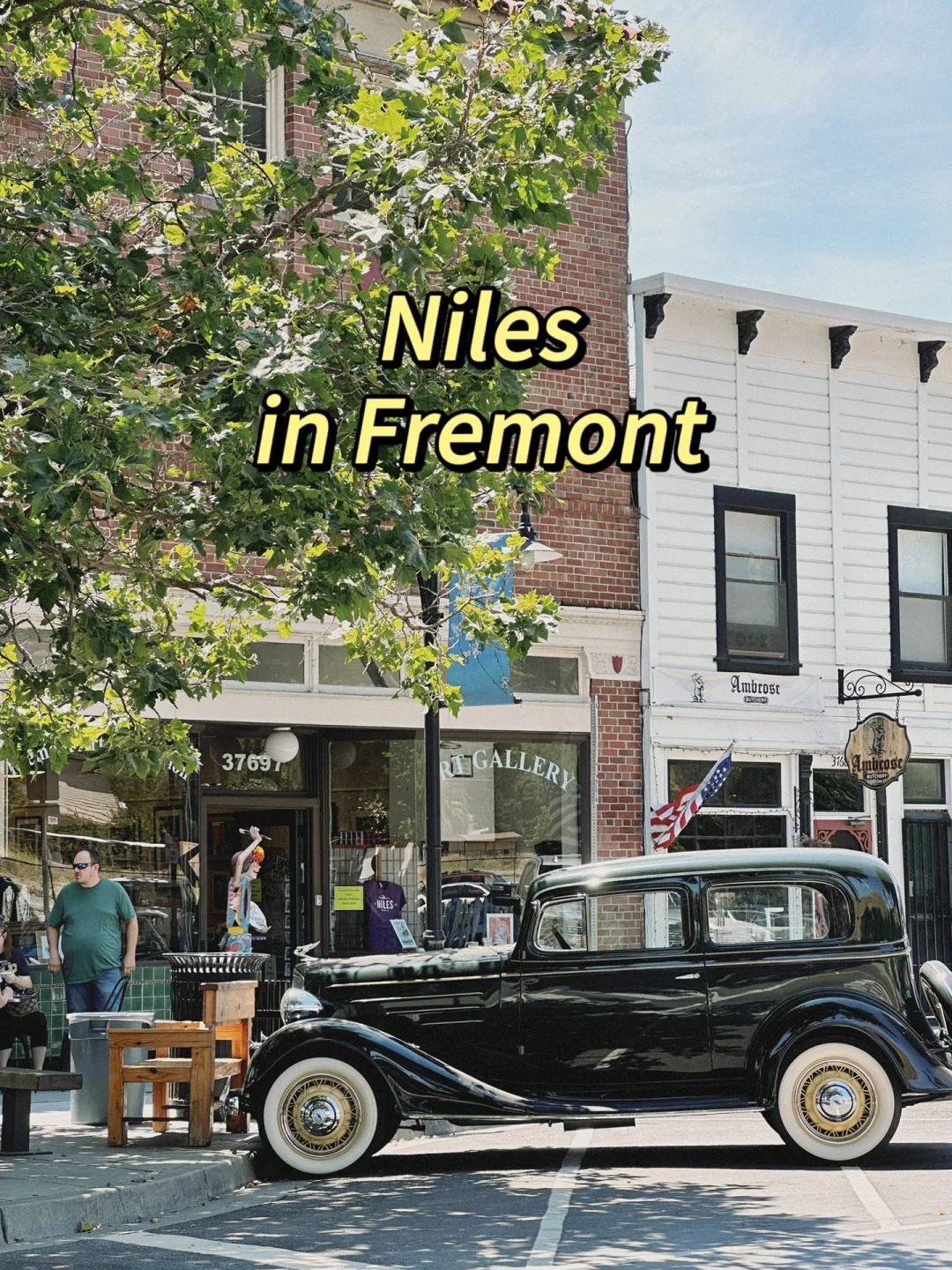 Unveiling Niles Blvd: A Personal Odyssey Through Time