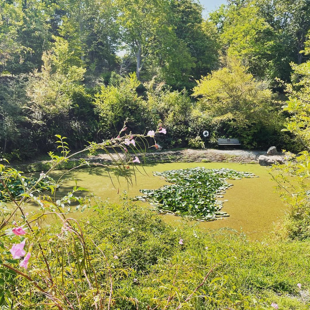Sonoma Botanical Gardens - A Hidden Gem in Napa and Sonoma County! 