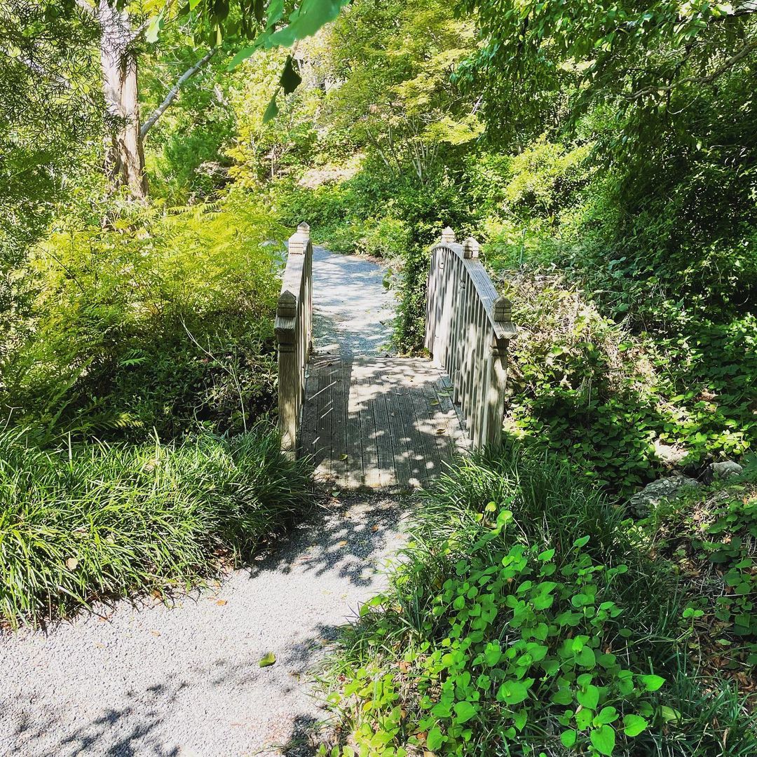 Sonoma Botanical Gardens - A Hidden Gem in Napa and Sonoma County! 