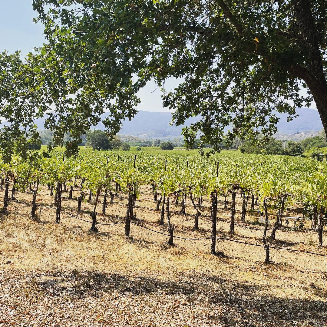 Sonoma Botanical Gardens - A Hidden Gem in Napa and Sonoma County! 