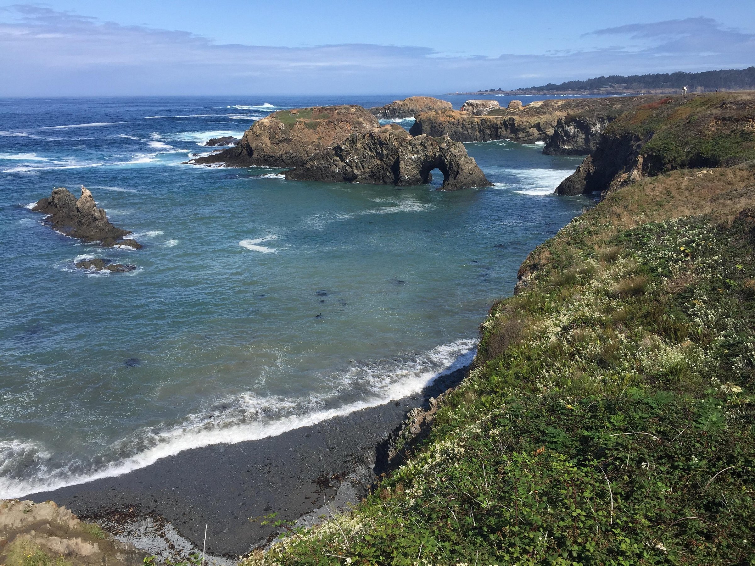 🌲 My Epic Mendocino Headlands State Park Adventure!🌊