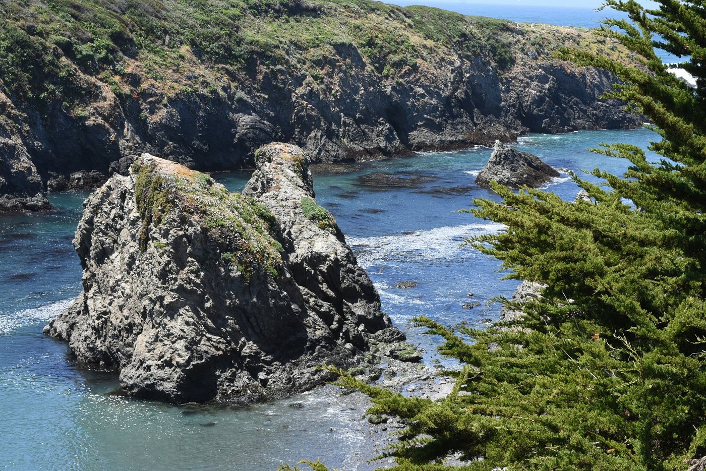 🌲 My Epic Mendocino Headlands State Park Adventure!🌊