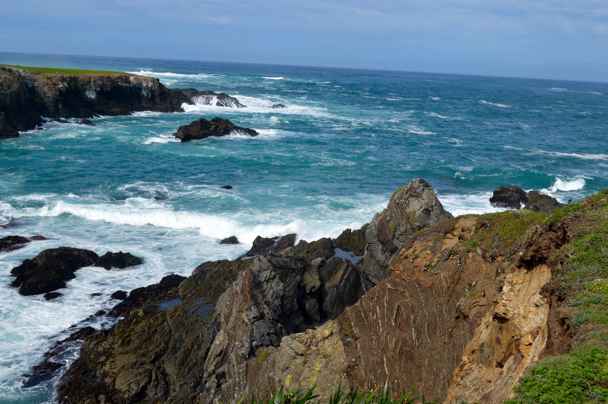 🌲 My Epic Mendocino Headlands State Park Adventure!🌊