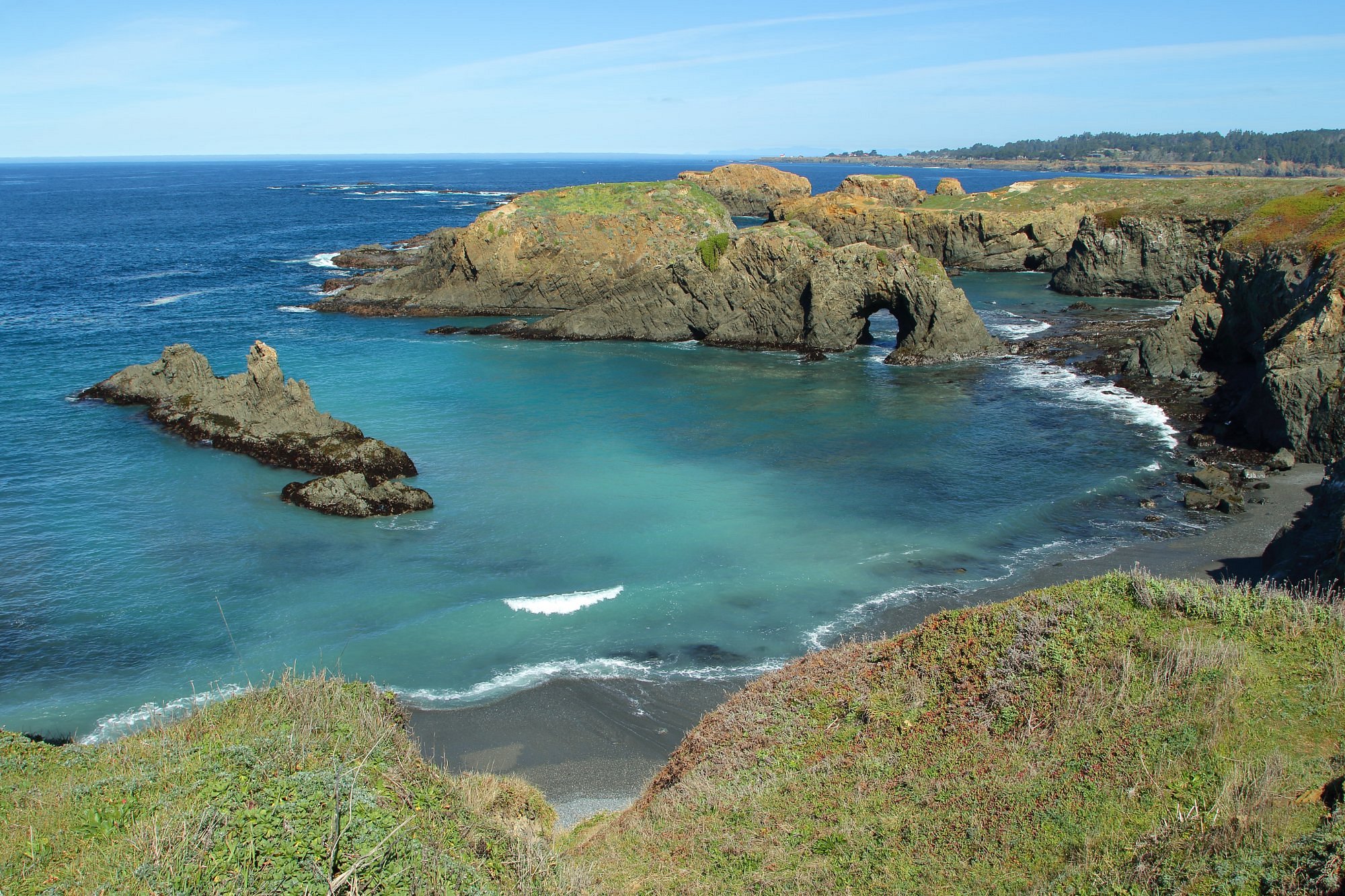 🌲 My Epic Mendocino Headlands State Park Adventure!🌊