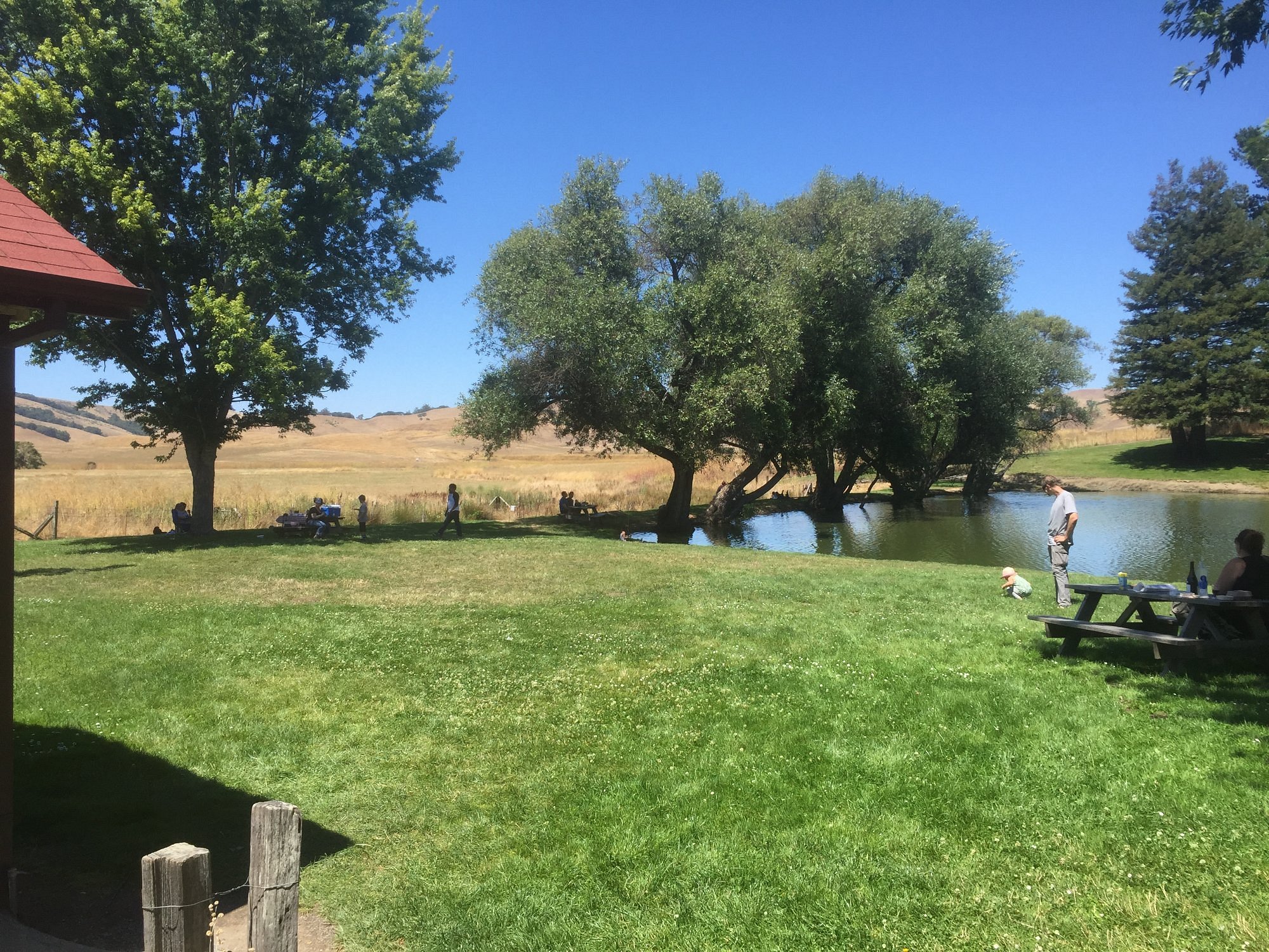 🧀 Savoring Delights at Marin French Cheese! 🍽️