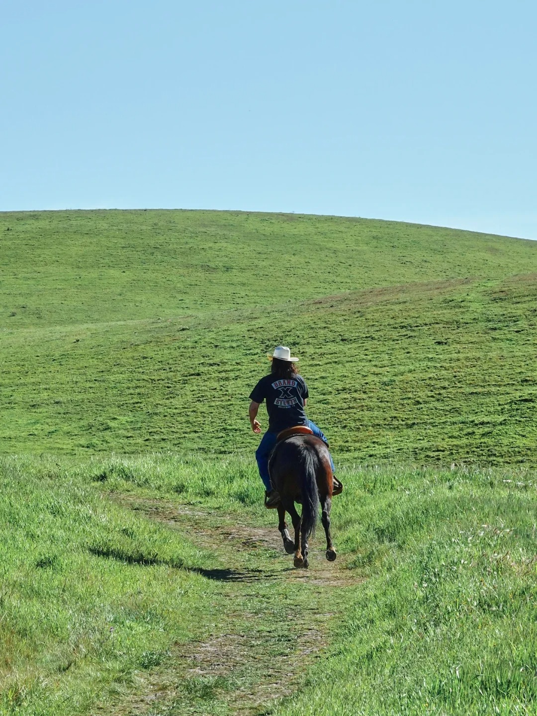 Bay Area Hiking🏇 - A Hidden Gem Park Perfect for Spring Horseback Riding and Greenery Strolls