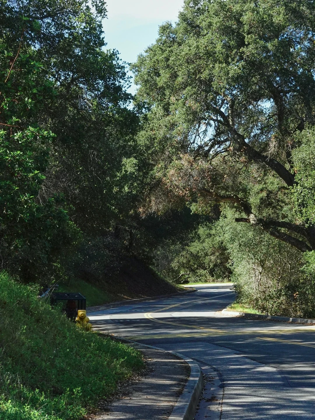 Bay Area Hiking🏇 - A Hidden Gem Park Perfect for Spring Horseback Riding and Greenery Strolls