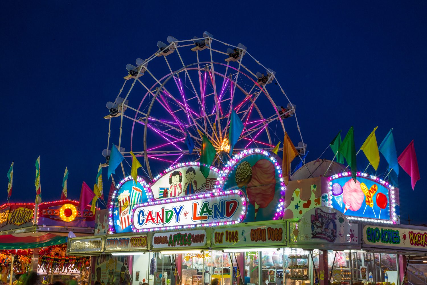 My Day at Alameda County Fairgrounds 🎡🐷🚂