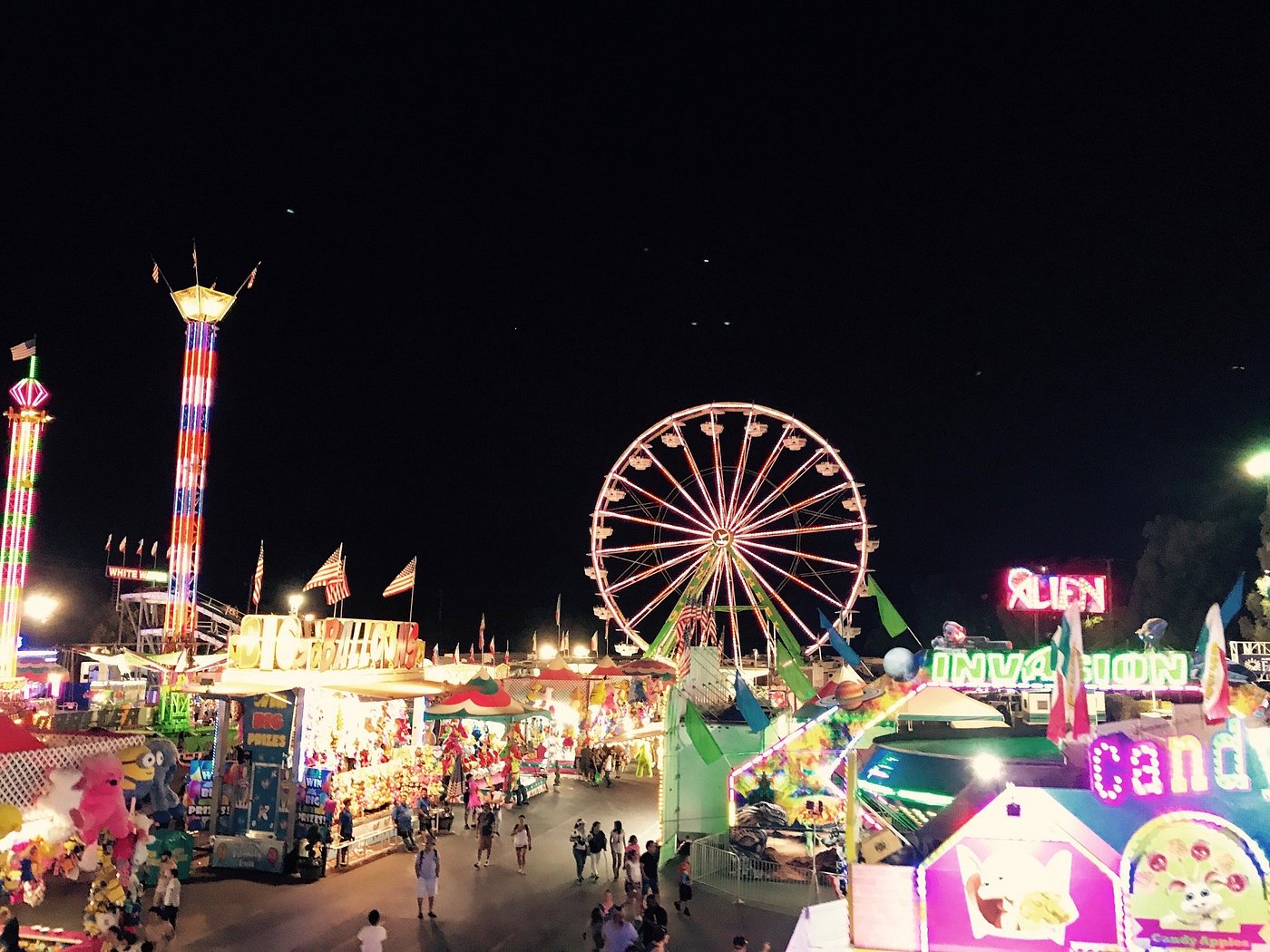 My Day at Alameda County Fairgrounds 🎡🐷🚂