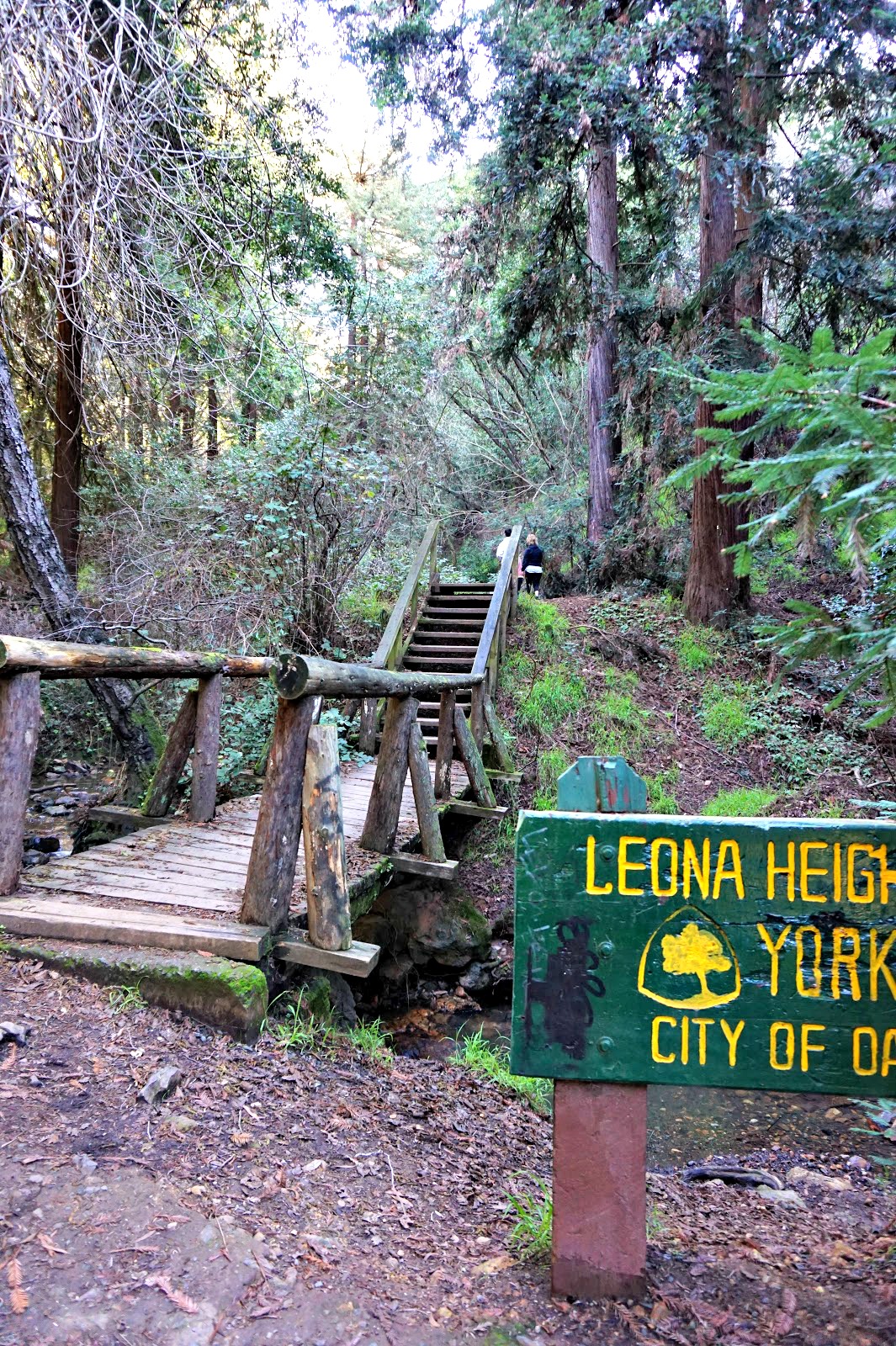 York Trail at Leona Heights Park: Immerse Myself in It
