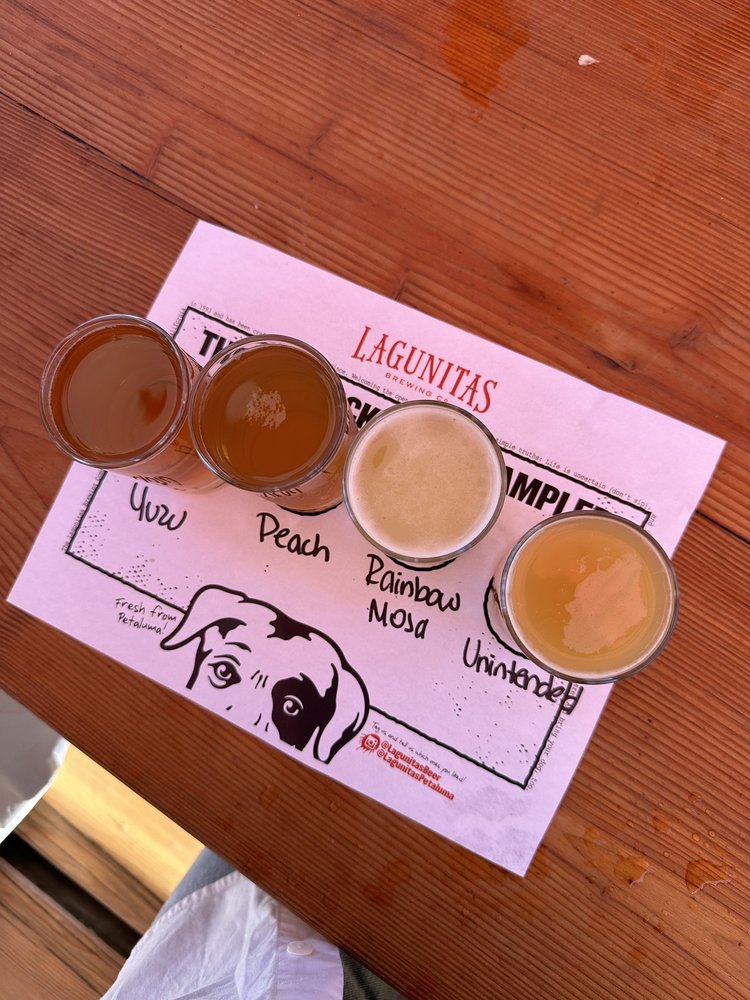 🍻 Visiting Lagunitas Taproom: Fun Times and Tasty Brews! 🐶