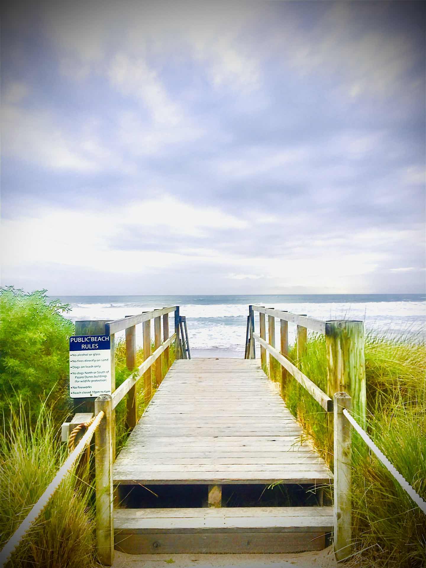 Pajaro  Dunes Palm Beach